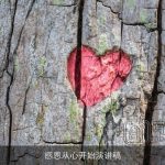 感恩从心开始演讲稿