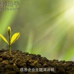 感恩企业主题演讲稿