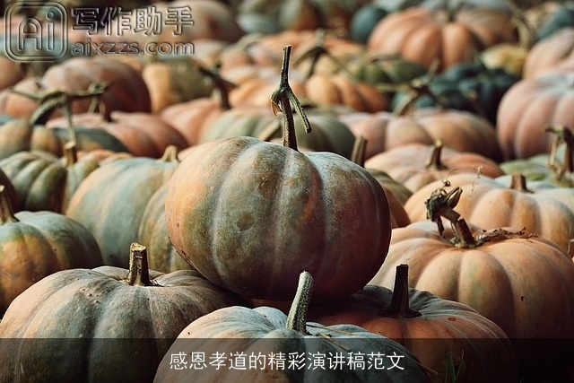 感恩孝道的精彩演讲稿范文