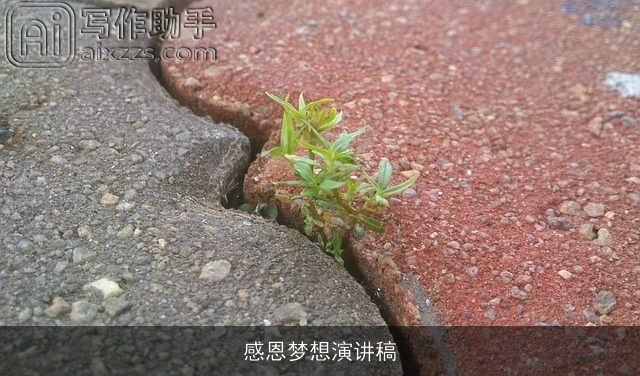 感恩梦想演讲稿