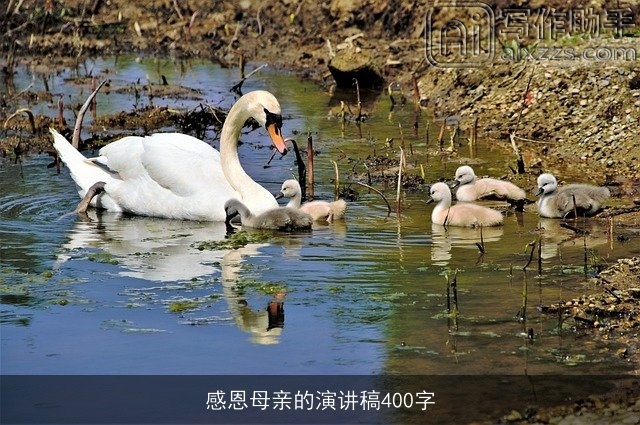感恩母亲的演讲稿400字