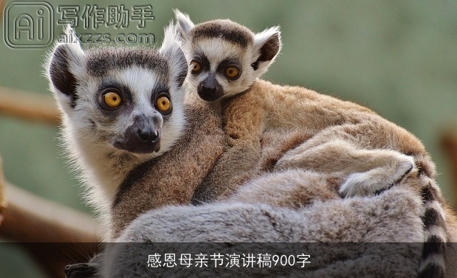 感恩母亲节演讲稿900字