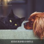 感恩的演讲稿5分钟作文