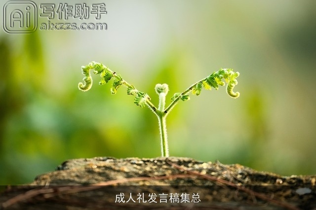 成人礼发言稿集总