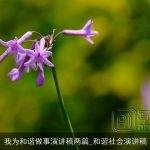 我为和谐做事演讲稿两篇_和谐社会演讲稿