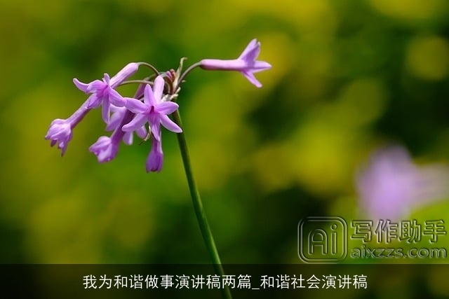 我为和谐做事演讲稿两篇_和谐社会演讲稿