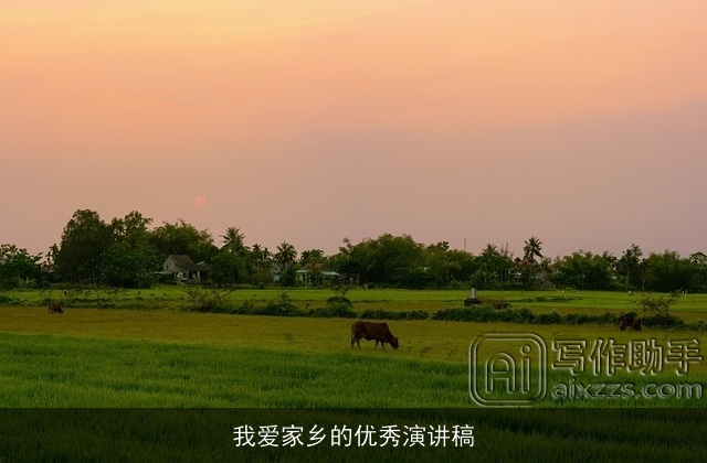 我爱家乡的优秀演讲稿