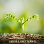 我爱我家三分钟优秀演讲稿