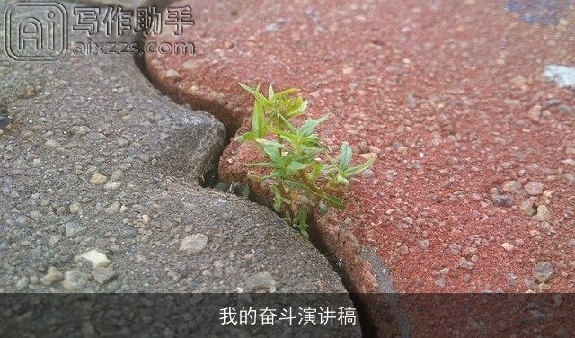 我的奋斗演讲稿