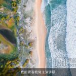 我的青春我做主演讲稿