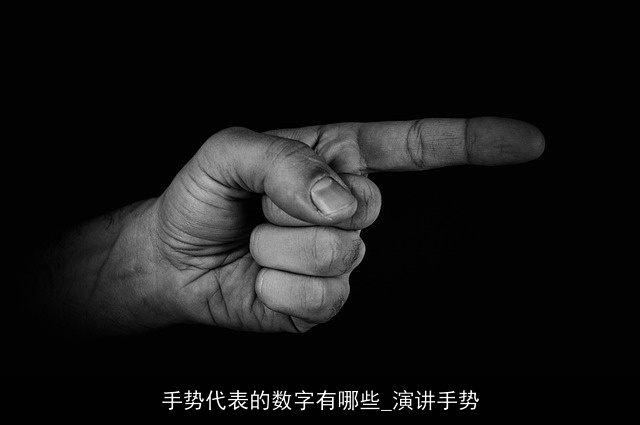 手势代表的数字有哪些_演讲手势