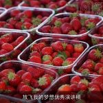 放飞我的梦想优秀演讲稿