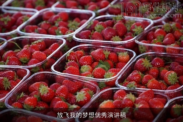 放飞我的梦想优秀演讲稿