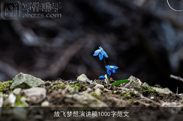 放飞梦想演讲稿1000字范文