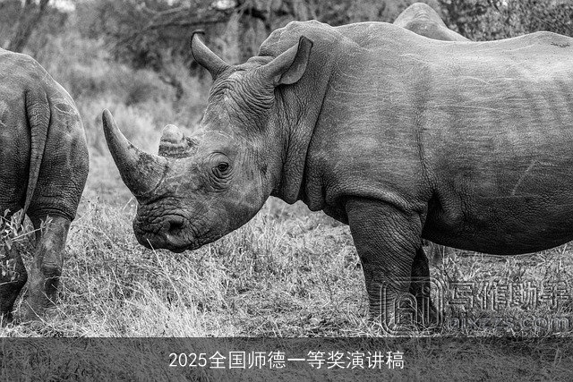 2025全国师德一等奖演讲稿