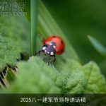 2025八一建军节领导讲话稿