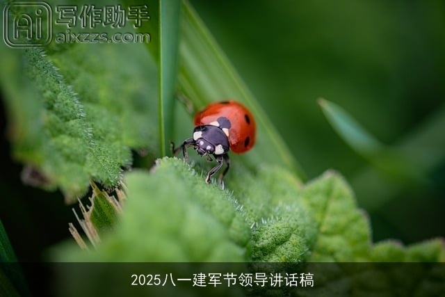 2025八一建军节领导讲话稿