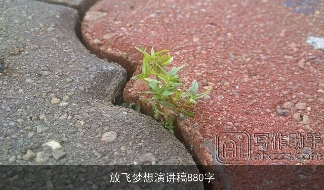 放飞梦想演讲稿880字