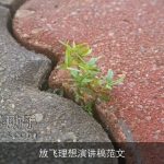 放飞理想演讲稿范文