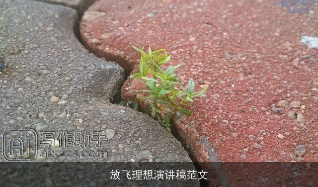 放飞理想演讲稿范文