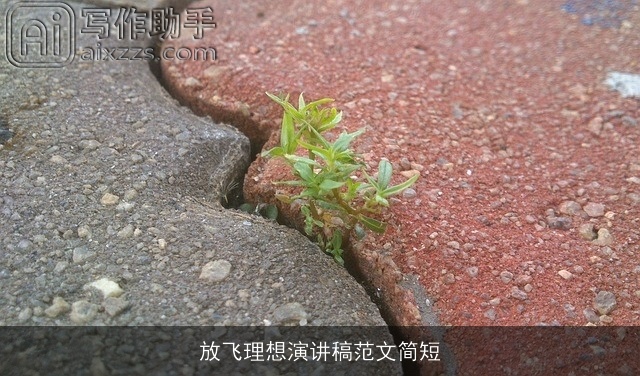 放飞理想演讲稿范文简短