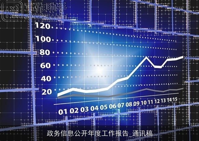 政务信息公开年度工作报告_通讯稿
