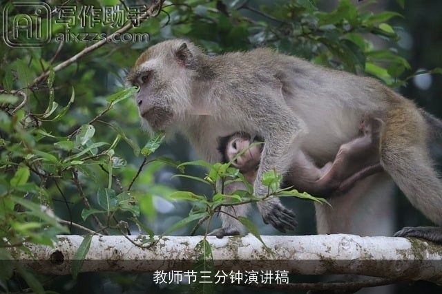教师节三分钟演讲稿