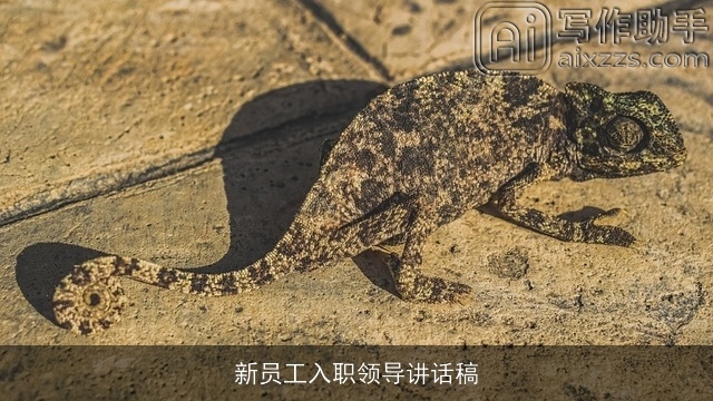 新员工入职领导讲话稿