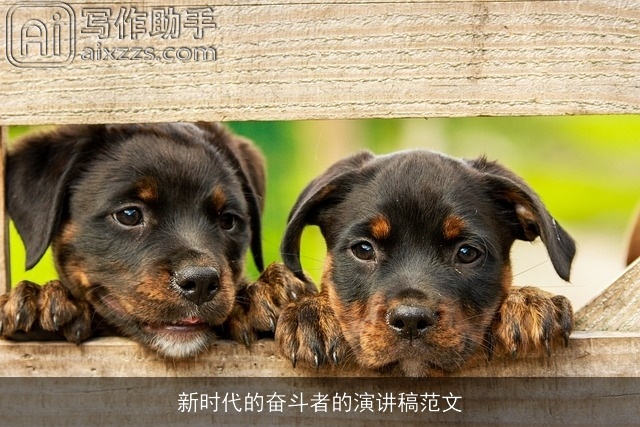 新时代的奋斗者的演讲稿范文