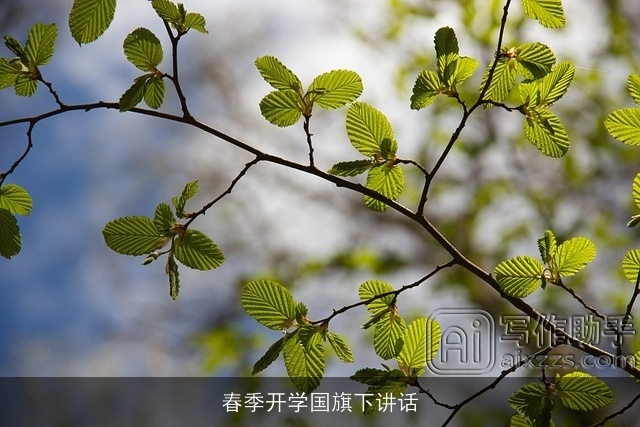 春季开学国旗下讲话