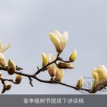 春季植树节国旗下讲话稿