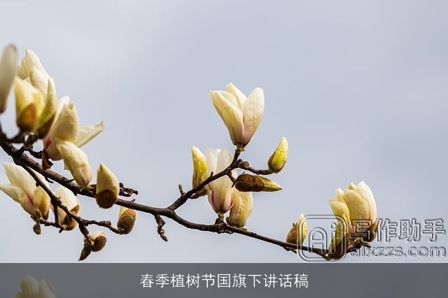 春季植树节国旗下讲话稿