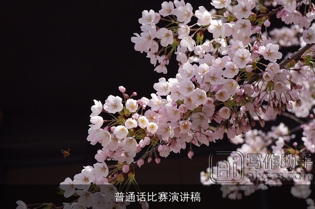 普通话比赛演讲稿