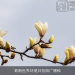 最新世界环境日校园广播稿