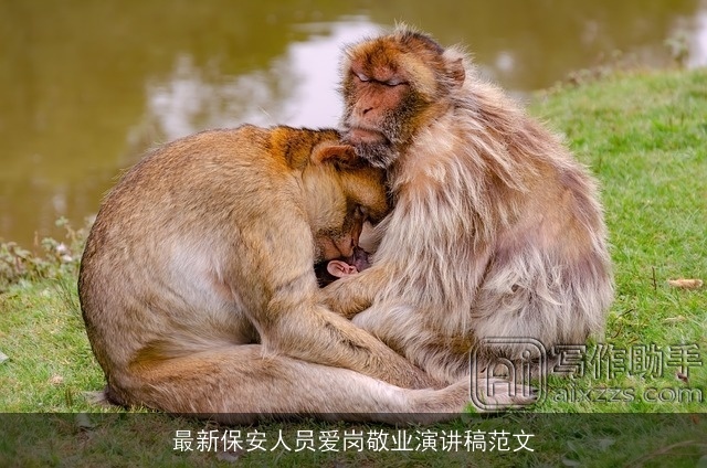 最新保安人员爱岗敬业演讲稿范文