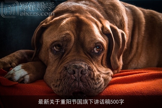 最新关于重阳节国旗下讲话稿500字