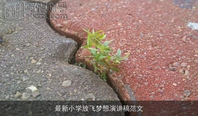 最新小学放飞梦想演讲稿范文