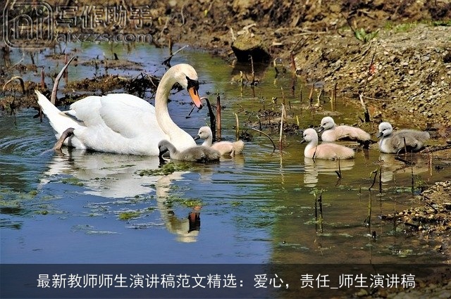 最新教师师生演讲稿范文精选：爱心，责任_师生演讲稿