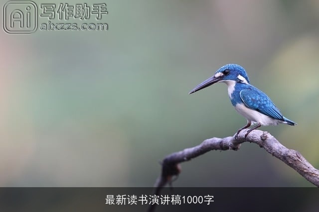 最新读书演讲稿1000字