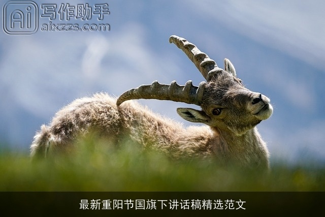 最新重阳节国旗下讲话稿精选范文