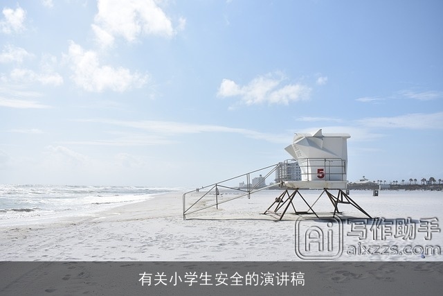 有关小学生安全的演讲稿