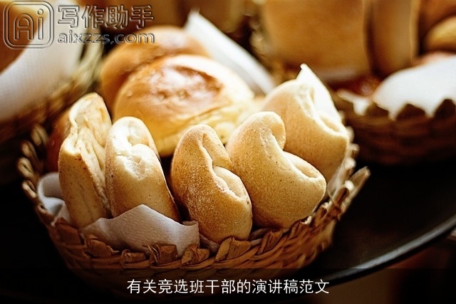有关竞选班干部的演讲稿范文