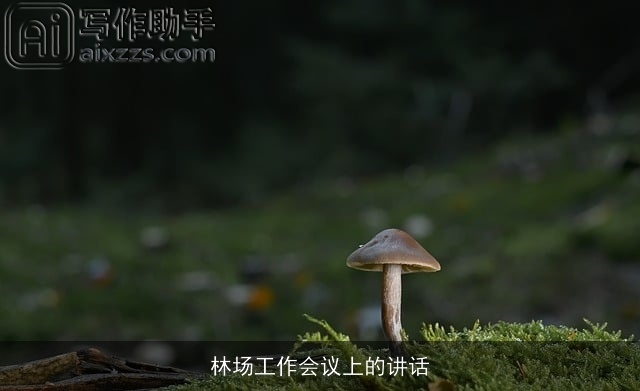 林场工作会议上的讲话