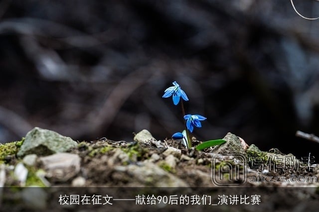 校园在征文——献给90后的我们_演讲比赛