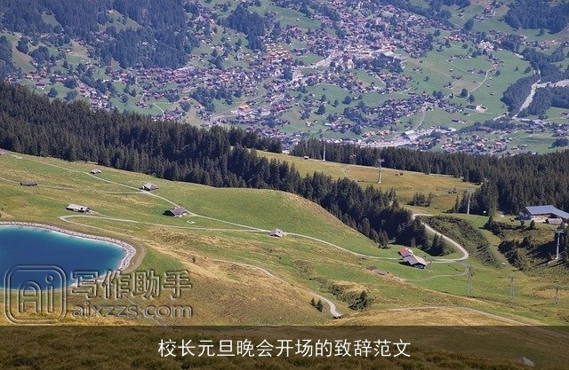 校长元旦晚会开场的致辞范文