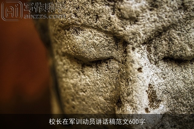 校长在军训动员讲话稿范文600字