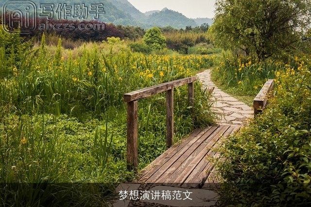 梦想演讲稿范文