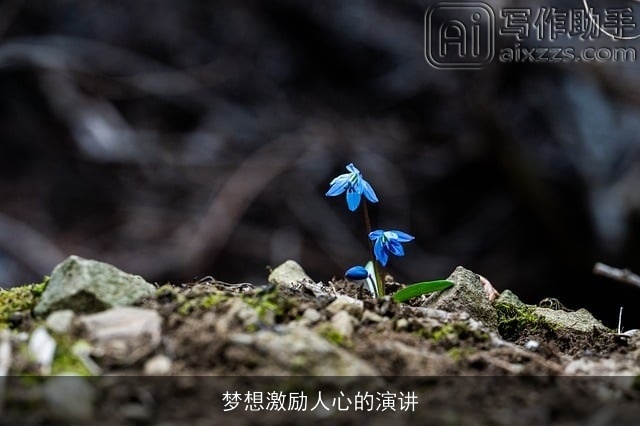 梦想激励人心的演讲