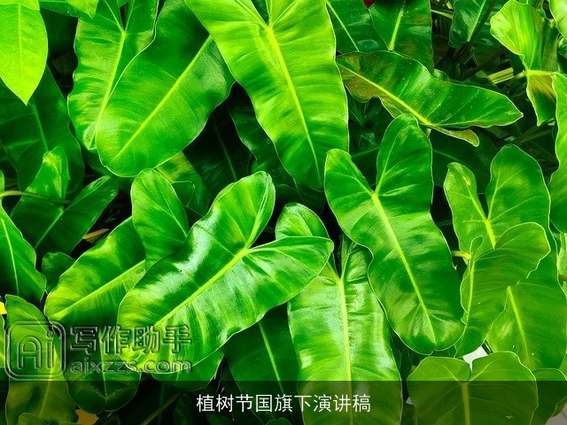 植树节国旗下演讲稿