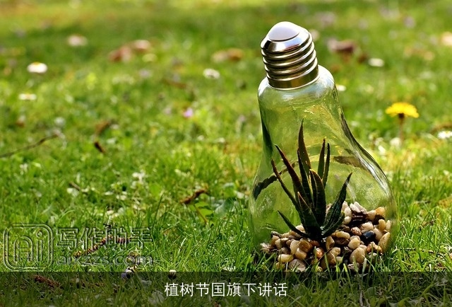 植树节国旗下讲话